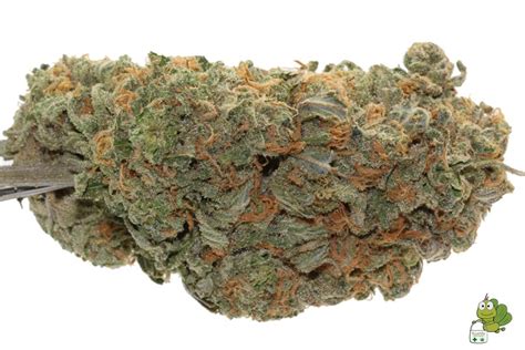 Blue Dream Strain Cannabis Delivery And Information