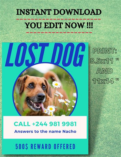 Editable Missing Dog Flyer And Poster Template Printable Lost Etsy