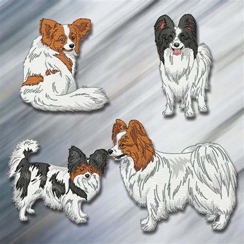 Realistic Papillion Embroidery Designs For Sale Machine Embroidery