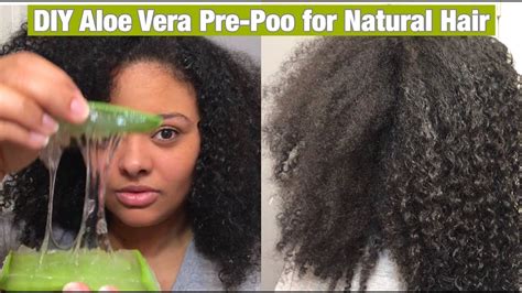 using fresh aloe vera to pre poo my natural hair youtube