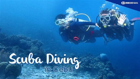 Your Best Ever Scuba Diving Experience In Cebu Philippines Youtube