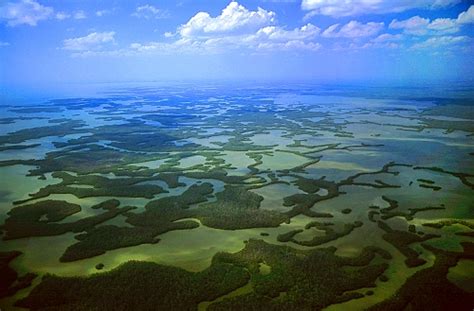 The ten thousand islands are a chain of islands and mangrove islets off the coast of southwest florida, between cape romano and the mouth of. Sailing South on Carina: Bad Sailing Weather