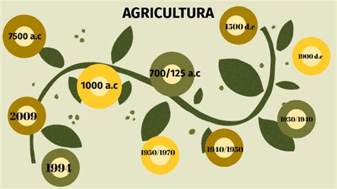 Linea De Tiempo Agricultura Y La Seguridad Alimenticia Timeline