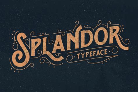 Splandor Typeface Fonts Creative Market