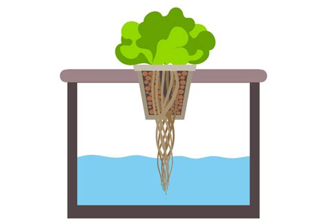 Hydroponic Systems Different Types And How They Work