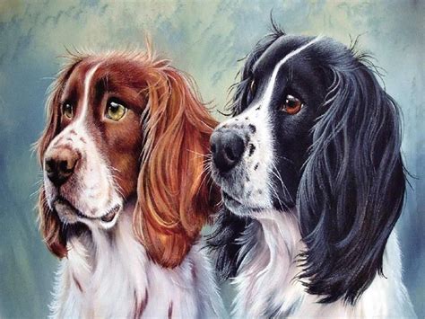 All paint by numbers kits here you can find all of the prodigious paint by number kits from our store. Pet Dog Paint By Numbers Kits PBN90659 in 2020 | Dog ...