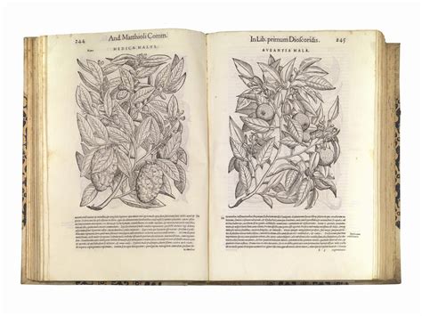 Botanica Illustrati 500 Mattioli Pietro Andrea Commentarii In Sex Libros Pedacii