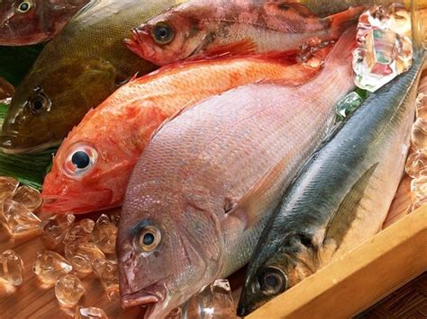 Benefits Of Eating Fish Cheaper Lines Cold Store Limited