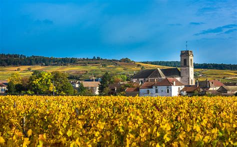 Chateau With Vineyards In The Autumn Season Burgundy France Stock Photo
