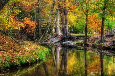 Butternut Creek In Fall Photograph By Greg Mimbs