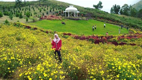 Rute dan Harga Tiket Masuk Sapo Juma Tongging Sumatera 