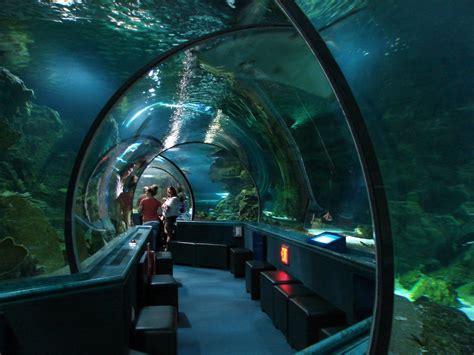 Guam Usa Underwater World Aquarium Tumon 여행 가족 여행 여름