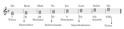 Grados De Una Escala La Academia De Música Online