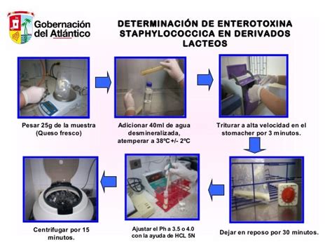 Determinación De Enterotoxina Estaphilococica En Derivados