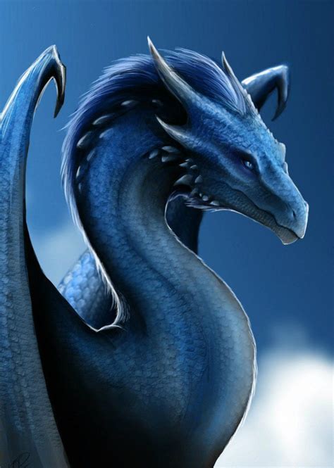 Saphira The Blue Dragon Dragons Dragon Fantasy Dragon Dragon Art