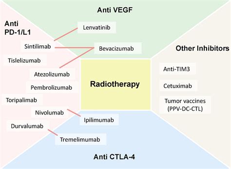 Combination Treatments Of Radiotherapy And Immunotherapy For HCC Under