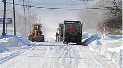 Buffalo News Obits For Today