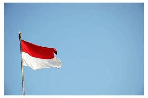 Download indonesia png bendera gif. Hasil gambar untuk download bendera indonesia berkibar ...
