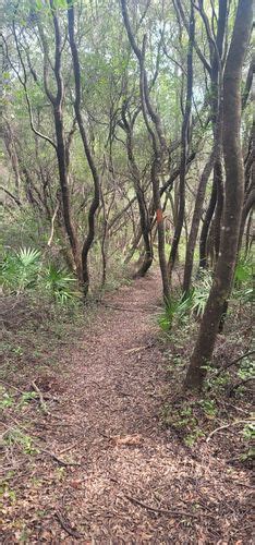 Best Hikes And Trails In Freeport Alltrails