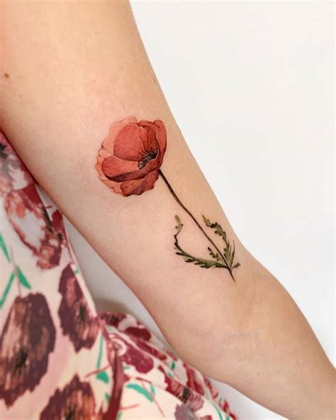 Top 118 Watercolour Poppy Tattoo
