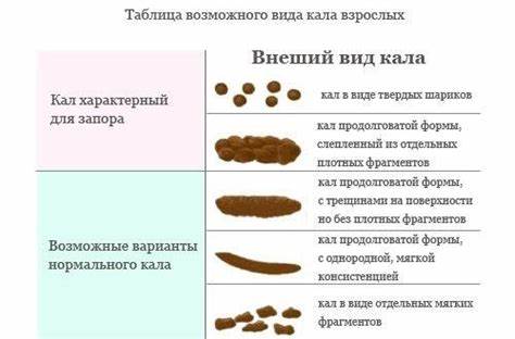 Диета стул 15 Частый Стул При Диете — Похудение Диета Правильное Питание Частый Стул При Диете — Похудение Диета Правильное Питание Диета стул 15