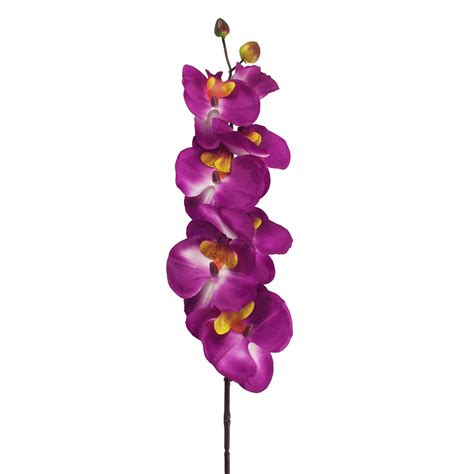 long stemmed eco orchid stem artificial fake flowers phalaenopsis cattleya ebay