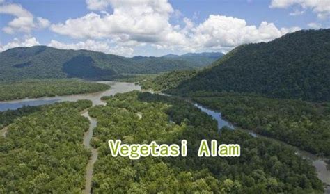Iklim matahari iklim matahari didasarkan pada a.4. Jenis Jenis Vegetasi Alam Menurut Iklim