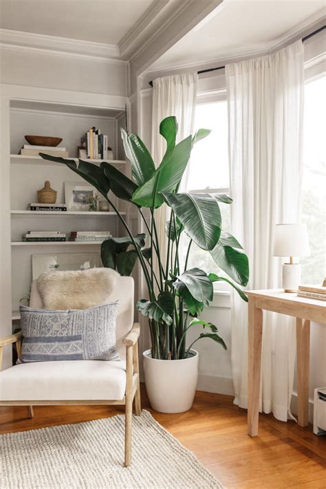 Don't be afraid of caring for indoor plants. 14 DIY Indoor Plants Ideas in The Corner Living Room To ...