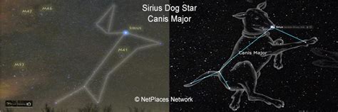 Sirius The Dog Star And Your Horoiscope