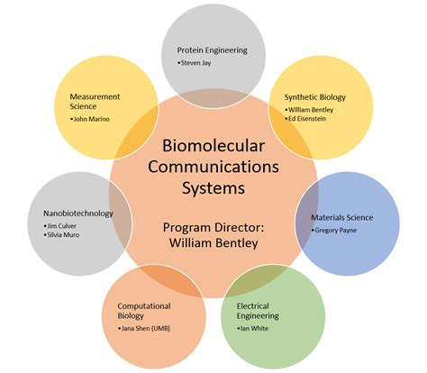Biomolecular Communication Systems | Institute for Bioscience and ...