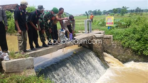 Sampah organik mampu terurai secara alami dialam dengan bantuan mikroba. Kerap Jadi Pembuangan Sampah, Warga Pasang Banner ...