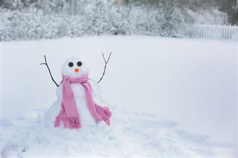 Free Images Cold Weather Season Outdoors Fun Happy Snowman Joy Blizzard Freezing