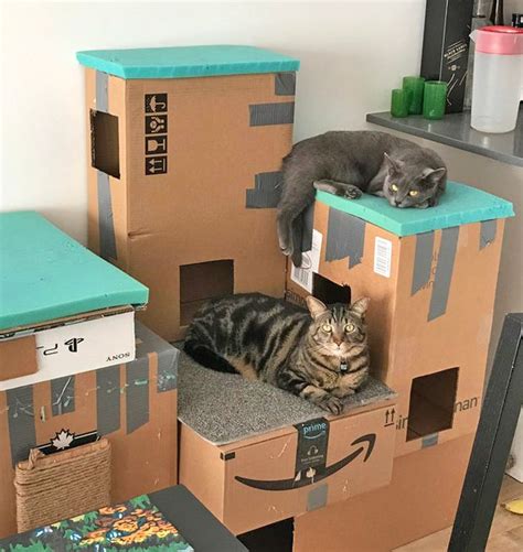 20 Spoiled Cats That Totally Dominate Their Owners In 2020 Diy Cat