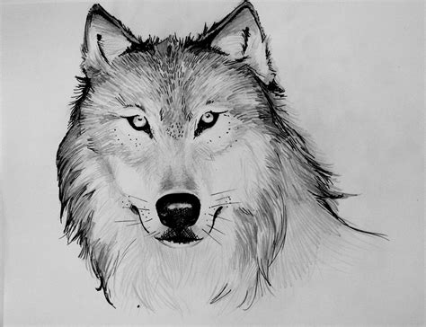 Almost A Girl Mostly A Ghost Wolf Drawings Wolf Drawing Drawings