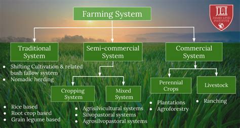Types Of Crop Production System Jli Blog
