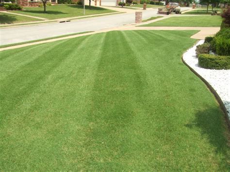 When switching from a bermuda grass lawn to a emerald zoysia lawn by overplanting instead of stripping and then replanting, emerald zoysia plugs are your best option. Post Pics of Bermuda Lawns | Page 30 | LawnSite.com™ - Lawn Care & Landscaping Professionals Forum