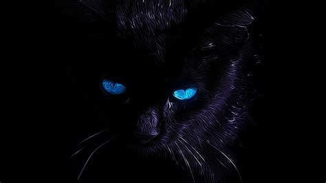 Black Cat Eyes Wallpapers Top Free Black Cat Eyes Backgrounds