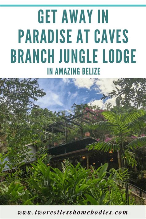 Exploring A Belize Jungle Resort Our Stay At Ian Andersons Caves