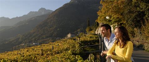 Here you will be pampered by courteous service and excellent kindness and you will enjoy a marvelous holiday full of pleasure for body and mind. Wellnesshotel Südtirol - Spa & Relax im Hotel Erika - Dorf ...