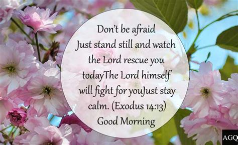 30 Good Morning Bible Quotes And Verses With Images