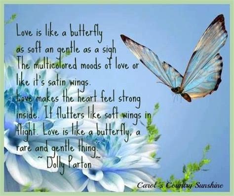 Love Is Like A Butterfly Butterfly Quotes Dolly