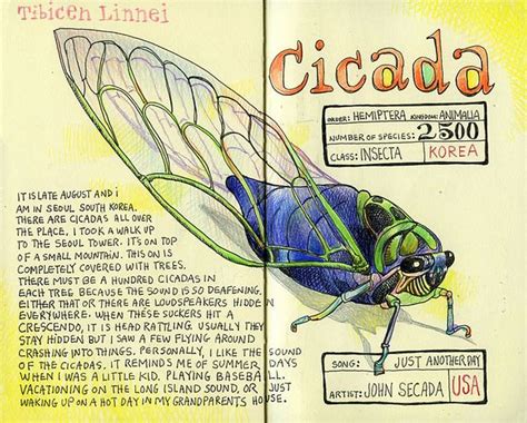 Cicada Sketchbook Journaling Sketch Book Art Blog