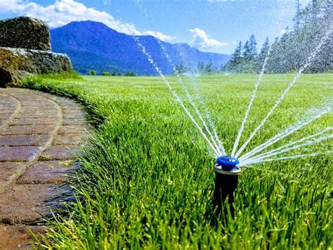 Irrigation System Installation And Winterization In Portland