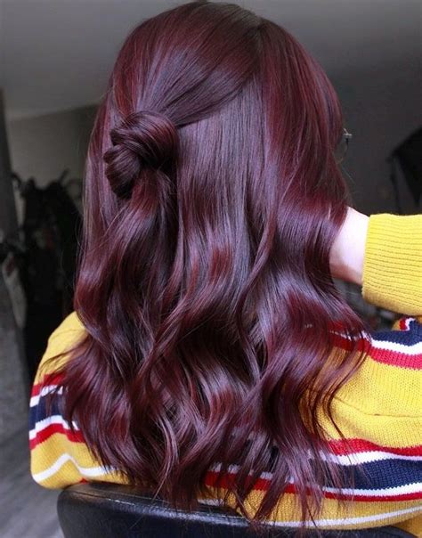 Pelo Color Borgoña Pelo Color Vino Cherry Hair Colors Hair Dye