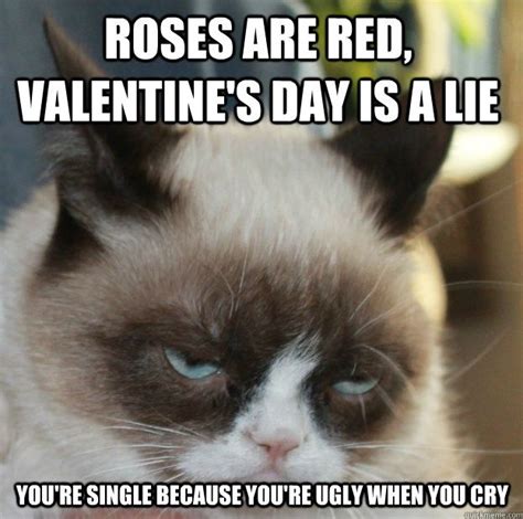 grumpy cat meme grumpy cat celebrates valentine s day not grumpy cat valentines grumpy