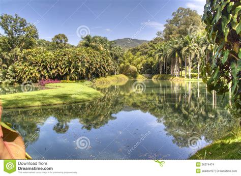 Tropical Lake Stock Photo Image Of Blue Nature Plant 36274474