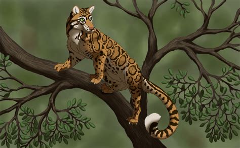 Clouded Leopard By Novilunar On Deviantart