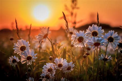 Check spelling or type a new query. Pin on Sunrise sunset