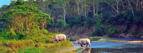 Jungle Safari in Nepal, Jungle Safari, Jungle Safari Tours ...