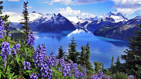 View Of Mountain Around Lake And Purple Flowers In Background Of Clouds
